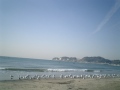 01)晴天の日、鎌倉材木座海岸。”水鳥ご一行様”が波打ち際に集まっていた。